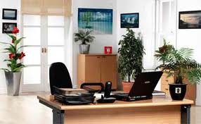 Phong thuỷ cho không gian làm việc 